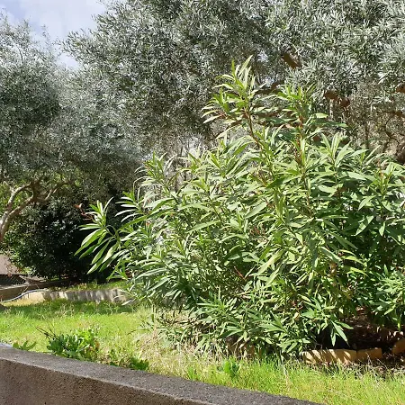 Saint Jean * Villeneuve (Alpes-de-Haute-Provence)