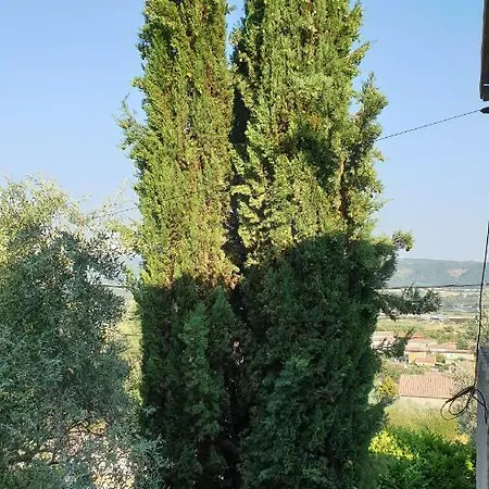 Saint Jean Holiday home Villeneuve (Alpes-de-Haute-Provence)
